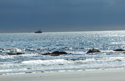 lobster fishing by michael sinclair hopkins